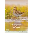 "Die Freude ist überall. Es gilt nur, sie zu entdecken." Konfuzius. Ein Vogel mit langem Schnabel im Wasser, umgeben von gelben Blumen. Juli-Kalender.