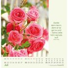 "Dankt dem Herrn, denn er ist gut zu uns! – Seine Liebe hört niemals auf!" Psalm 136,1. Kalenderblatt für Juli mit Rosen.