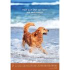 Text: "Freut euch über den Herrn und seid fröhlich. nach Psalm 32,11". Ein Hund spielt fröhlich im Wasser eines Meeres.