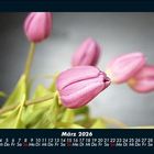 Cover/Product zoom