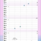 Kalender im Juli mit Wochentagen und Daten. Darunter malt eine Katze mit Pinsel ein Bild am Strand.