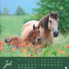 "Jul" mit Kalenderdaten. Ein Pferd und ein Fohlen stehen in einem Feld voller roter Blumen.