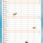 Kalendertabelle für den Monat Juli. Unten eine Illustration: Ein Mann im Wasser hebt eine Katze hoch.