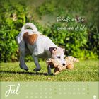 "Friends are the sunshine of life." Kalenderseite Juli. Ein Hund spielt mit einem Stofftier auf einer Wiese.
