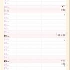 Kalenderblatt für Juli, mit Daten und Wochentagen. Unten "See Ya" neben einer Illustration mit Katze auf Fahrrad.