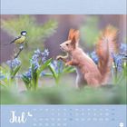 "Jul" steht für Juli. Kalender mit einem Eichhörnchen und einer Meise, umgeben von blauen Blumen.