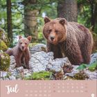 Text: "Jul" mit Kalendertagen darunter. Ein Braunbär und ein Bärenjunges stehen auf felsigem Untergrund im Wald.