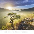 "Juli" steht auf einem Kalenderblatt. 
Ein einzelner Baum auf einer Klippe, dahinter Sonnenstrahlen über einem nebeligen Wald.