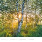 Text: Kalenderblatt für Juli. Szene: Sonnenstrahlen scheinen durch Bäume in einem grünen Wald mit hohen Gräsern.