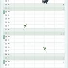 Kalender für Juli mit Wochentagen und Illustrationen: Dachs, Zweige und ein Hirsch vor Bäumen.