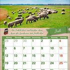 Um Jakobi heißt und trocken, dann kann der Landmann stets frohlocken! Kalender für Juli 2027 mit Schafen auf der Weide.