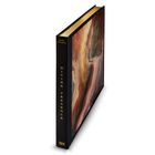 "DIVINE PRESENCE" steht senkrecht auf dem Buchrücken, darunter "KARL KOLBITZ." Das Buchcover zeigt abstrakte Farbmuster.