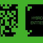 Links grüne und schwarze Pixel-Muster, rechts Text: "HYBRID ENTITIES", identischer Stil, Hintergrund grün.