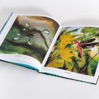 Links: "schwimmt", Wasserspalter auf Wasser. Rechts: "schwebt", Kolibri vor gelber Blume. Beides Illustrationen.