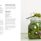Links Text über polnische und kurz fermentierte Salzgurken sowie Gurkensalat. Rechts Glas mit Gurken und Dill dekoriert.