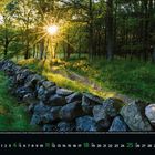 Kalender: Juli. Steinmauer entlang eines Waldweges; Sonnenstrahlen durchleuchten die Bäume.