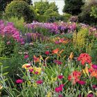 Blühender Garten mit einer Vielfalt an bunten Blumen, darunter gelbe, orange und rosa Blüten, umgeben von grünen Bäumen.