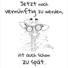„Jetzt noch vernünftig zu werden, ist auch schon zu spät.“ Darunter eine Giraffe mit Sonnenbrille. Kalender: Juli 2027.