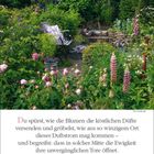 "Du spürst, wie die Blumen die köstlichen Düfte versenden... Ewigkeit ihre unvergänglichen Tore öffnet." Ein üppiger, blühender Garten mit vielen verschiedenen Blumen umgibt eine Bank.