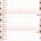 Kalenderseite für Juli 2027 mit Wochentagen und Notizbereich. Hintergrund in Rosa mit weißen und braunen Mustern.