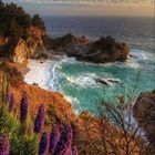 Kalenderblatt mit großen Zahlen, Monat Juli, Küstenlandschaft mit blühendem Busch im Vordergrund, Wasserfall links.