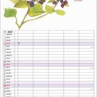 "Schöne reife Beeren am Bäumchen hängen..." Ein Kalenderblatt mit Illustration eines Vogels auf Beerenzweig. Juli 2027.