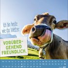 Text: "Ich bin heute wie das Wetter: VORÜBERGEHEND FREUNDLICH." Eine Kuh leckt ihre Nase, im Hintergrund Berge. Kalender: Juli 2027.