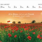 Text: "Wilde Blumen sind wie gute Freunde, sie kommen immer wieder. Unbekannt." 

Beschreibung: Ein Feld voller roter Mohnblumen im Sonnenuntergang.