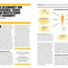 Die Gesundheit von Menschen, Tieren und Ökosystemen ist verknüpft. Diagramm über Zoonosen-Ursprünge und Übertragungswege.