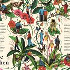„Zu viele Menschen“ - Text über menschliche Entwicklung und Bevölkerungswachstum. Zahlreiche Illustrationen von Menschen, Tieren und Pflanzen.