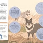 THEMA: „Das Krafttier in sich finden“. Stufenweise Anleitung zur Entspannung mit Visualisation. Illustrationen von Wölfen.