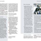 Texte: Porto preiswert, Meine Literaturtipps, Informationsquellen, Camilo Castelo Branco, Sophia de Mello Breyner Andresen. 

Bildbeschreibung: Eine Skulptur eines sitzenden Mannes.