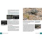 Texte erklären Autofokus-Einstellungen und Funktionalität. Enthält Diagramme, Tabellen und Abbildungen eines Insektes im Detail.