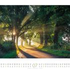 Kalender für Juli: Weg durch den Wald im Morgenlicht, Sonnenstrahlen scheinen durch dichte, grüne Bäume.