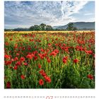 Kalenderblatt: Juli, 31 Tage. Ein Mohnfeld im Vordergrund, Bäume im Hintergrund, Berge und blauer Himmel mit Wolken.