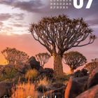 Datumsfelder oben rechts; "Quiver Tree Forest NAMIBIA" unten. Köcherbäume vor einem farbenfrohen Himmel.