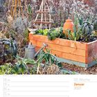 03. Woche, Januar 2027, 18 Mo bis 24 So. Winterlicher Gemüsegarten mit Hochbeet, Pflanzen und Gießkanne.
