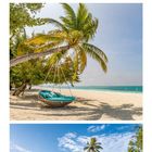 07, Fakarava, Französisch-Polynesien, Bahamas, Malediven. Drei tropische Strand-Szenen mit Palmen und blauem Himmel.
