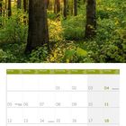Kalender für Juli 2027. Wochen in Deutsch, Englisch und Französisch. Foto: Wald im Sonnenlicht.