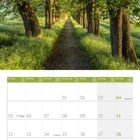 Kalender für Juli 2027, Tage und Wochen im Überblick. Pfad unter Kastanienbäumen, lichtdurchflutete grüne Umgebung.