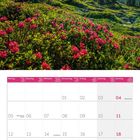 07 2027. Montag bis Sonntag. Unterschrift: Blühende Alpenrosen mit Blick auf das Diemtigtal, Kanton Bern, Schweiz.