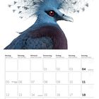 Kalenderblatt für Juli 2027 mit Texten auf Deutsch und Englisch, zeigt einen markanten Vogel mit prachtvollem Federkranz.