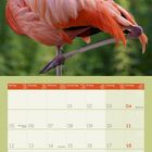 Kalenderblatt Juli 2027; "Always look on the pink side of life"; Foto eines Flamingos, Monatsübersicht.