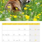Ein Fuchs sitzt auf einer Wiese voller gelber Blumen neben einem Kalender für Juli 2027.