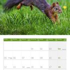 Kalenderblatt von Juli 2027. Oben ein Eichhörnchen im Sprung auf grünem Gras.