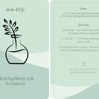 „Mundspülung mit Kräutern“; Zutaten: 1 TL Salbei- und Gundermannblätter; Zubereitung erklärt; Illustration: Vase mit Pflanze.