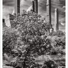 Kalenderblatt mit Juni im Fokus. Foto zeigt eine Frau auf einem Felsen, dahinter Wolkenkratzer und Bäume im Hintergrund.