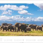 Unter dem Bild steht "JULI" und "JULY". Darunter Kalendertage. Zu sehen ist eine Elefantenherde vor einem schneebedeckten Berg.