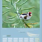 Zitat: Wir fragen nicht, welchen Nutzen der Gesang der Vögel hat... Kalenderseite Juli 2027 mit Vogelbild.