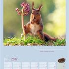 Zitat von Goethe: "Willst du dich am Ganzen erquicken, so musst du das Ganze im Kleinsten erblicken." Kalender Juli 2027. Ein Eichhörnchen hält eine Blume.